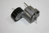 AUTOMEGA 1013400258 Tensioner Lever, v-ribbed belt